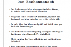 1Garten-und-Kunstausstellung-in-Ostfriesland-an-die-Nordseekueste-offener-Gartentuer-Garten-und-Kunst-de-Wolff-Wenn-sie-ihren-Garten-neu-anlegen-ist-dies-ihre-Adress-11
