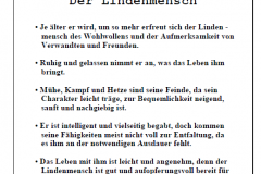 1Garten-und-Kunstausstellung-in-Ostfriesland-an-die-Nordseekueste-offener-Gartentuer-Garten-und-Kunst-de-Wolff-Wenn-sie-ihren-Garten-neu-anlegen-ist-dies-ihre-Adress-16