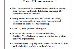 1Garten-und-Kunstausstellung-in-Ostfriesland-an-die-Nordseekueste-offener-Gartentuer-Garten-und-Kunst-de-Wolff-Wenn-sie-ihren-Garten-neu-anlegen-ist-dies-ihre-Adress-22