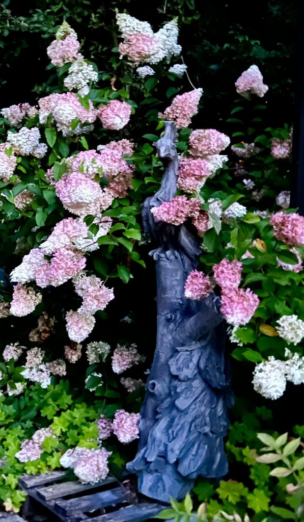 Mehr Informationen gibt es persönlich von der freien Gartenberaterin de Wolff www.freie-Gartenberatung.de von Garten und Kunst de Wolff für das raue Küstenklima in Wilhelmshaven , Cuxhaven, Friesland, Ostfriesland, Norddeich, Norden, Krummhörn, Hage, Berumbur, Großheide freie Gartenberatung Erna de Wolff aus Moormerland Ostfriesland Norddeutschland Niedersachsen Gartenplanung Beratung Gartenideen Garteninspiration von Erna de Wolff Gartenberatung Moormerland und Gartenplanung Ostfriesland Gartengestaltung in Niedersachsen Im Schaugarten Garten und kunst in Ostfriesland zeigt Gartenexperte viele Gartenideen