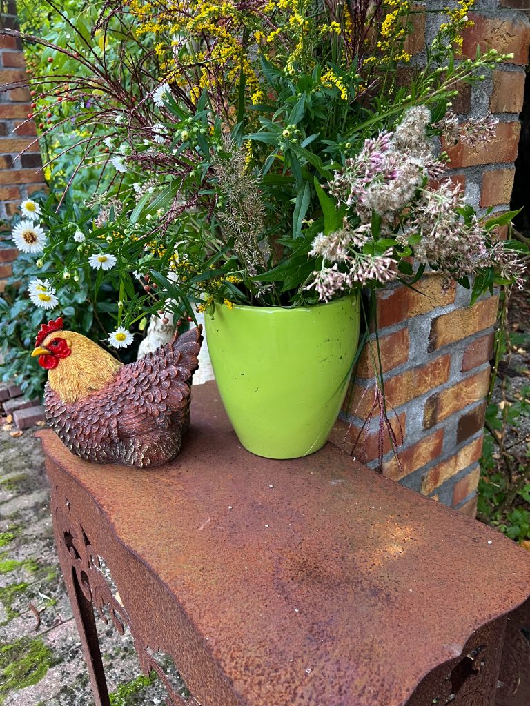 Mehr Informationen gibt es persönlich von der freien Gartenberaterin de Wolff www.freie-Gartenberatung.de von Garten und Kunst de Wolff für das raue Küstenklima in Wilhelmshaven , Cuxhaven, Friesland, Ostfriesland, Norddeich, Norden, Krummhörn, Hage, Berumbur, Großheide freie Gartenberatung Erna de Wolff aus Moormerland Ostfriesland Norddeutschland Niedersachsen Gartenplanung Beratung Gartenideen Garteninspiration von Erna de Wolff Gartenberatung Moormerland und Gartenplanung Ostfriesland Gartengestaltung in Niedersachsen Im Schaugarten Garten und kunst in Ostfriesland zeigt Gartenexperte viele Gartenideen