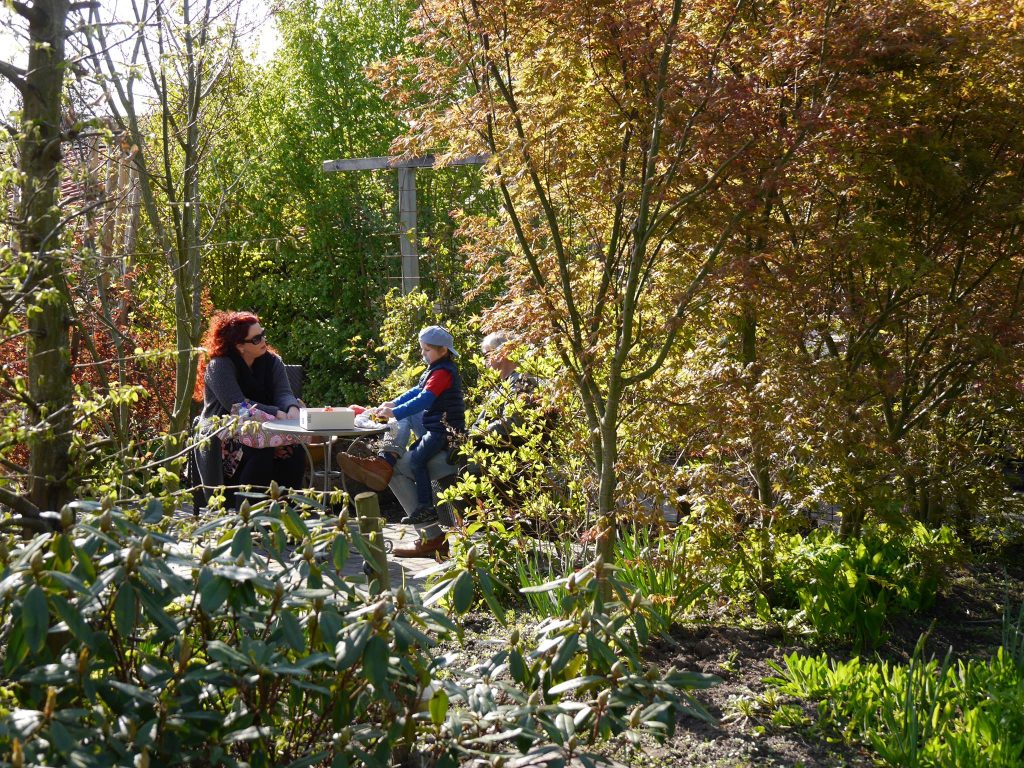 Mehr Informationen gibt es persönlich von der freien Gartenberaterin de Wolff www.freie-Gartenberatung.de von Garten und Kunst de Wolff für das raue Küstenklima in Wilhelmshaven , Cuxhaven, Friesland, Ostfriesland, Norddeich, Norden, Krummhörn, Hage, Berumbur, Großheide freie Gartenberatung Erna de Wolff aus Moormerland Ostfriesland Norddeutschland Niedersachsen Gartenplanung Beratung Gartenideen Garteninspiration von Erna de Wolff Gartenberatung Moormerland und Gartenplanung Ostfriesland Gartengestaltung in Niedersachsen Im Schaugarten Garten und kunst in Ostfriesland zeigt Gartenexperte viele Gartenideen