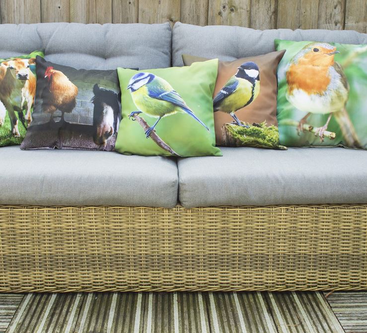 Mehr Informationen gibt es persönlich von der freien Gartenberaterin de Wolff www.freie-Gartenberatung.de von Garten und Kunst de Wolff für das raue Küstenklima in Wilhelmshaven , Cuxhaven, Friesland, Ostfriesland, Norddeich, Norden, Krummhörn, Hage, Berumbur, Großheide freie Gartenberatung Erna de Wolff aus Moormerland Ostfriesland Norddeutschland Niedersachsen Gartenplanung Beratung Gartenideen Garteninspiration von Erna de Wolff Gartenberatung Moormerland und Gartenplanung Ostfriesland Gartengestaltung in Niedersachsen Im Schaugarten Garten und kunst in Ostfriesland zeigt Gartenexperte viele Gartenideen