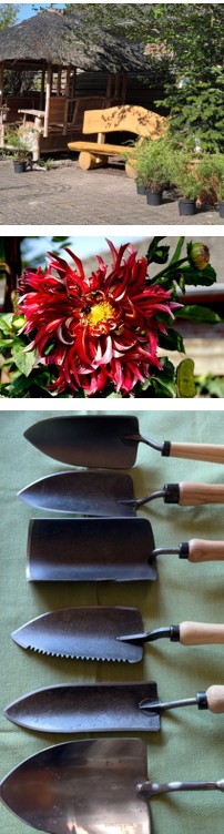 freien Gartenberaterin de Wolff www.freie-Gartenberatung.de von Garten und Kunst de Wolff für das raue Küstenklima in Wilhelmshaven, Cuxhaven, Friesland, Ostfriesland, Norddeich, Norden, Krummhörn, Hage, Berumbur, Großheide us Moormerland Ostfriesland Norddeutschland Niedersachsen Gartenplanung Beratung Gartenideen Garteninspiration von Erna de Wolff Gartenberatung Jheringsfehn Gartenplanung Ostfriesland Gartengestaltung in Niedersachsen Im Schaugarten Garten und Kunst in Ostfriesland zeigt Gartenexperte viele Gartenideen