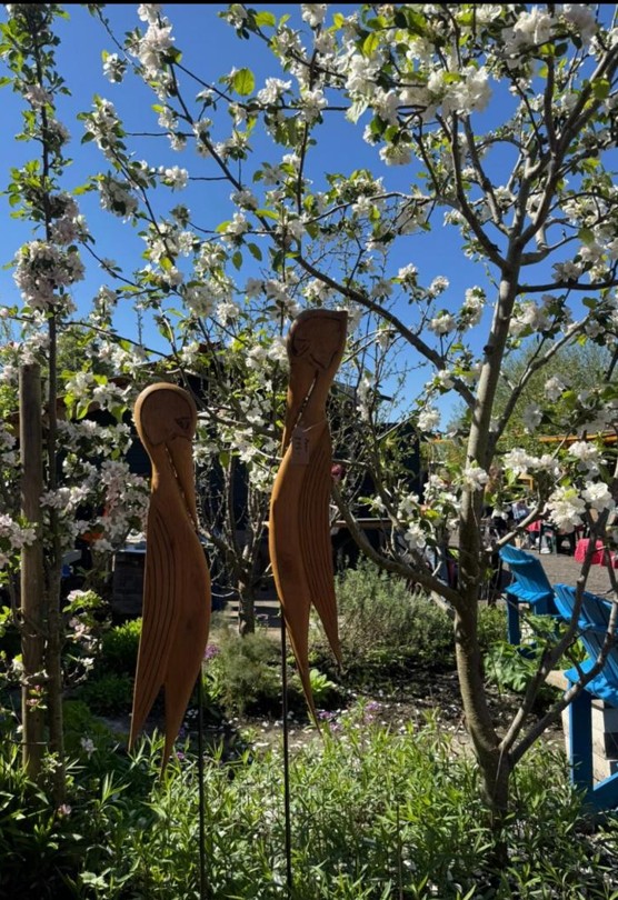 freien Gartenberaterin de Wolff www.freie-Gartenberatung.de von Garten und Kunst de Wolff für das raue Küstenklima in Wilhelmshaven, Cuxhaven, Friesland, Ostfriesland, Norddeich, Norden, Krummhörn, Hage, Berumbur, Großheide us Moormerland Ostfriesland Norddeutschland Niedersachsen Gartenplanung Beratung Gartenideen Garteninspiration von Erna de Wolff Gartenberatung Jheringsfehn Gartenplanung Ostfriesland Gartengestaltung in Niedersachsen Im Schaugarten Garten und Kunst in Ostfriesland zeigt Gartenexperte viele Gartenideen