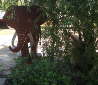 Garten und Kunstausstellung bei der freien Gartenberatung erna de wolff Ostfriesland Moormerland an der Küste Nordsee Leer Aurich Emden Niedersachsen fyp event