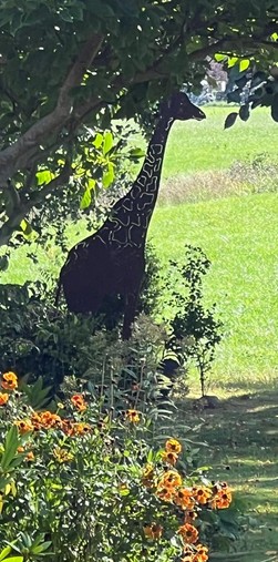 Garten und Kunstausstellung bei der freien Gartenberatung erna de wolff Ostfriesland Moormerland an der Küste Nordsee Leer Aurich Emden Niedersachsen fyp
