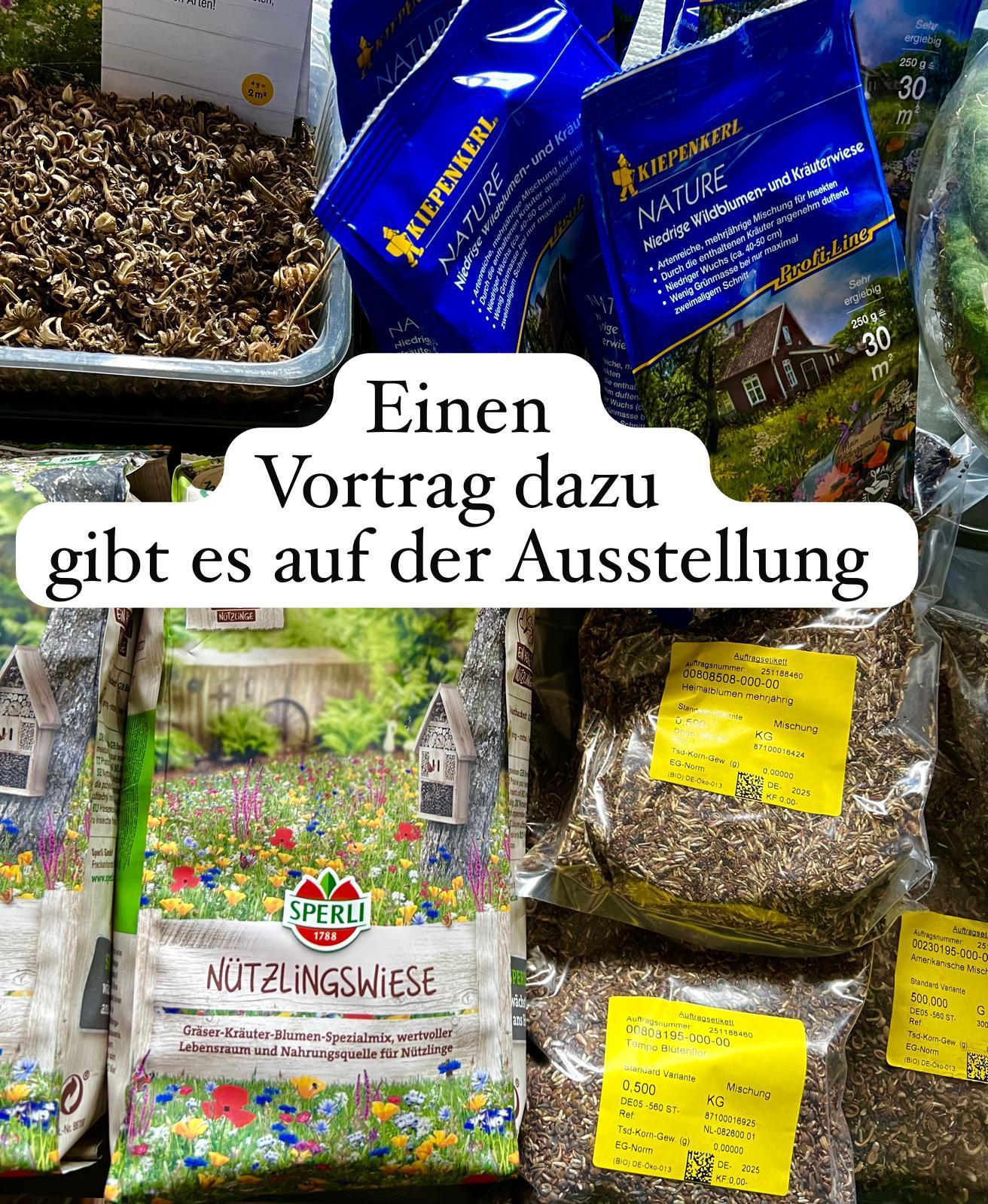 Kunstausstellung Garten und Kunst de Wolff freie Gartenberatung Gartenplanung Hesel Ostfriesland an der küste Nordsee Event Hesel Leer Aurich Emden (1)