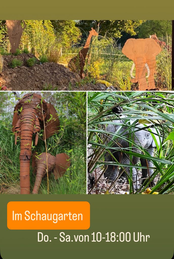 25. & 26. April 2026 – Freie Gartenberatung & Garten & Kunst de Wolff in Jheringsfehn /Ostfriesland Wir laden Sie herzlich ein zur Garten- & Kunstausstellung der Freien Gartenberatung am 25. und 26. April 2026. Freuen Sie sich auf zwei inspirierende Tage rund um Gartenkultur, Kunst, Naturerlebnis, Fachwissen und genussvolle Begegnungen in besonderer Atmosphäre. Zahlreiche Ausstellerinnen und Aussteller präsentieren handgefertigte Unikate, neue Projekte und besondere Produkte aus den Bereichen Metall- und Holzdesign, kreative Kunst, biologische Erzeugnisse und Garteninnovationen. Viele Stände laden zum Probieren, Entdecken und persönlichen Austausch ein – inklusive Prosecco-Angeboten direkt bei ausgewählten Ausstellern. Ein weiterer Höhepunkt ist die große Tombola, der Flohmarkt sowie der Bratwurstverkauf. Die Erlöse aus diesen Aktionen kommen der Kinderbastelaktionshilfe zugute und unterstützen damit gezielt kreative Kinderprojekte. Ergänzend dazu bietet Verena eine Kinder-Yoga-Aktion an. Dieses Angebot ist eigenständig organisiert und unabhängig von Tombola und Spendenaktionen. Auch das Thema Bewegung, Achtsamkeit und Naturerlebnis spielt eine zentrale Rolle: Freuen Sie sich auf Lachyoga, Tai Chi, Waldbaden sowie begleitende Vorträge zu diesen Themen. Zusätzlich werden Saatgutinformationen, praktische Tipps rund um den naturnahen Gartenbau sowie die Vorstellung moderner Gartenwerkzeuge angeboten.